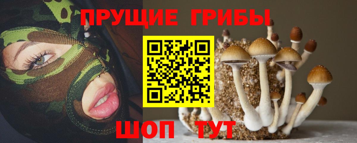 Электрогорск  Галлюциногенные грибы Cubensis  Вход с VPN 
